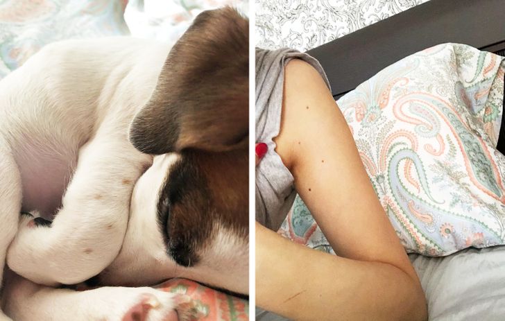 fcafe45aba85d97c5f3cfe27e4