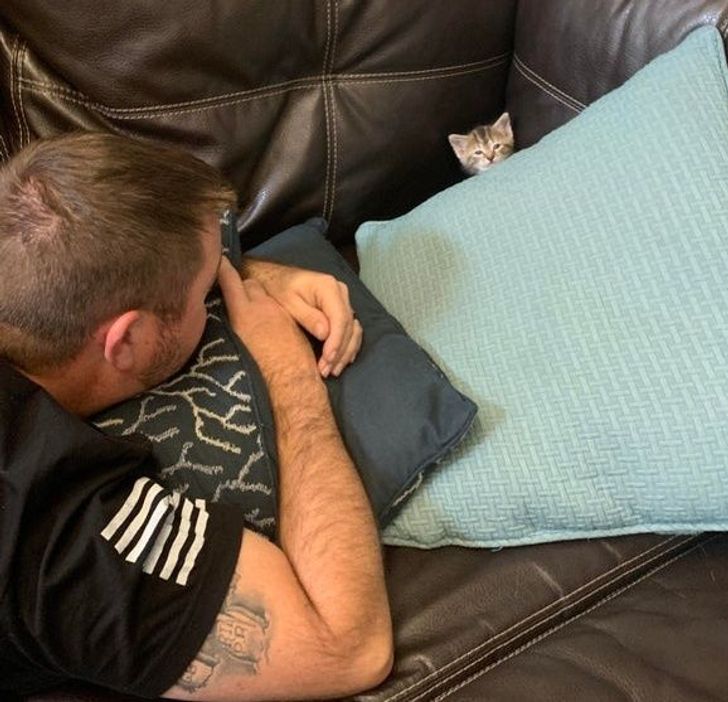 fcb0865e1aad7ba6339a35bda7