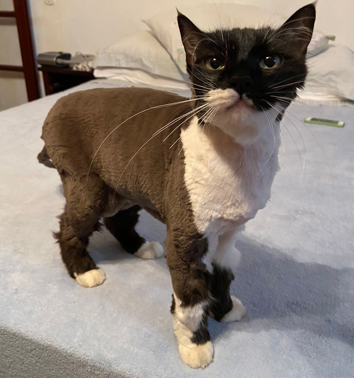 fcb6865edeb2a54bf59c2af8a1