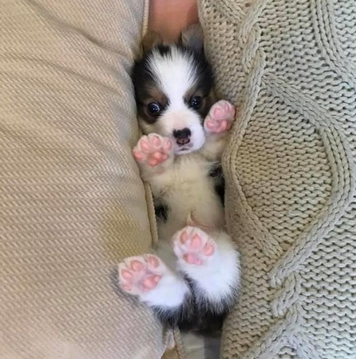 fcb74558f08c2c37d05a52d299