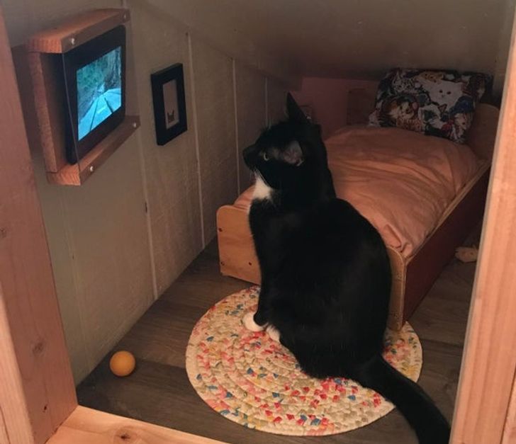 fcbd5d57e6a2137b6114584345 fcbd5d57e6a2137b6114584345