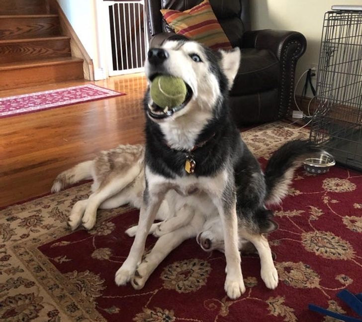 fcbe76548ab82a190de42f665b