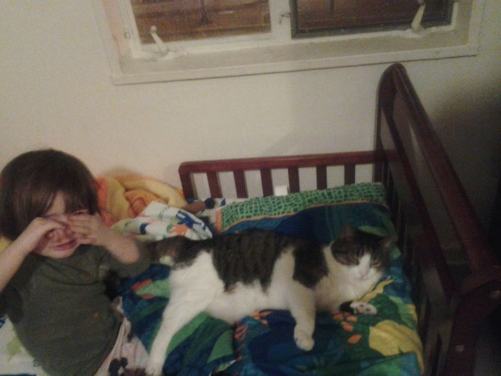 fcc2cd5794a0b29edaf0df892e