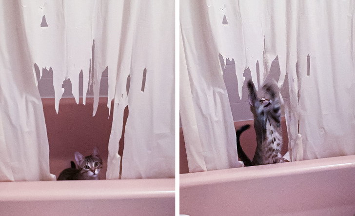 fccd3956d3a9263dd54c47122a fccd3956d3a9263dd54c47122a