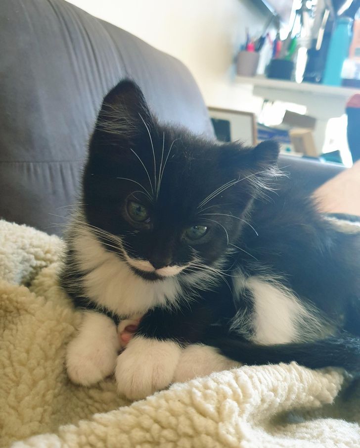 fcd4475aef9b4433227f8a2e64