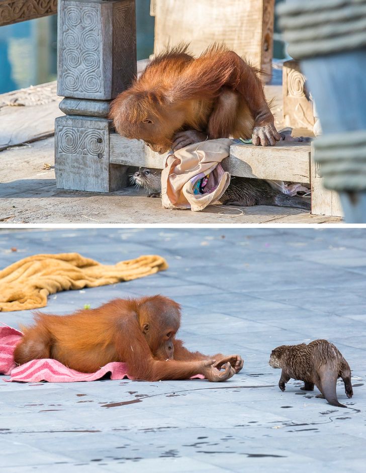 fcd81e5a9ebbb4c6401e0c2ab9