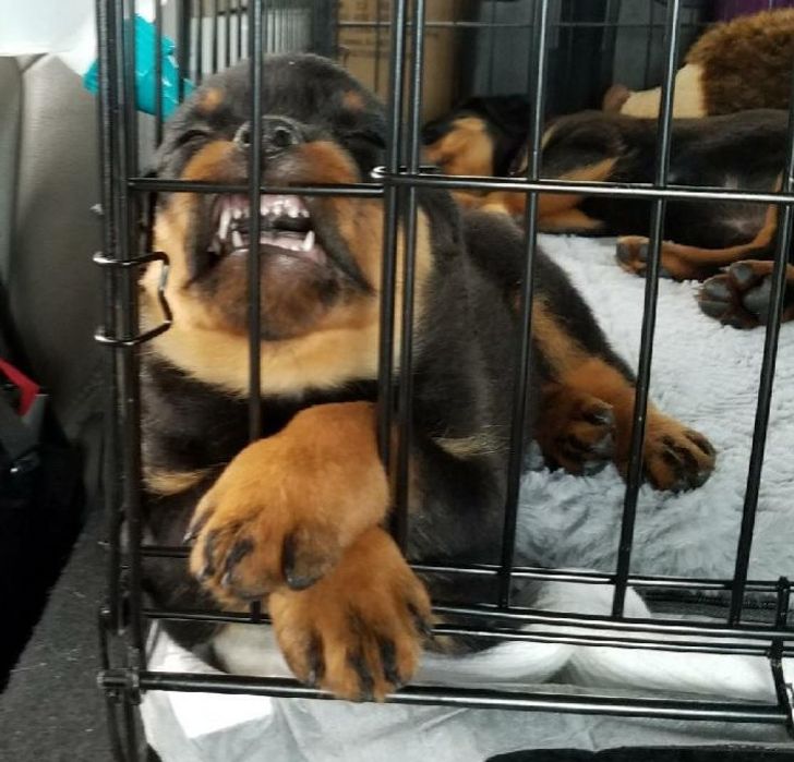 fcda3754e29bd96587abeff26e fcda3754e29bd96587abeff26e