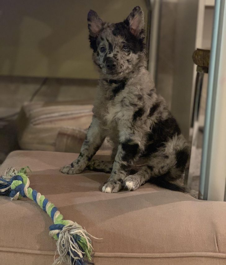 fcdda55c9dba5b6152c342466c