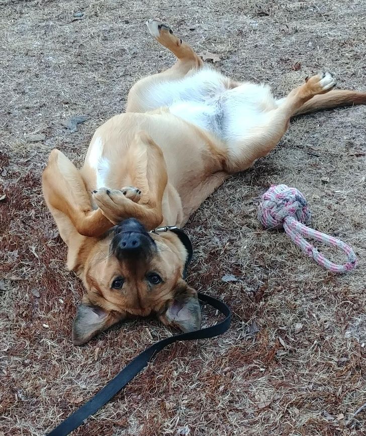 fce3995ec7a1c2f68a819c76cb fce3995ec7a1c2f68a819c76cb