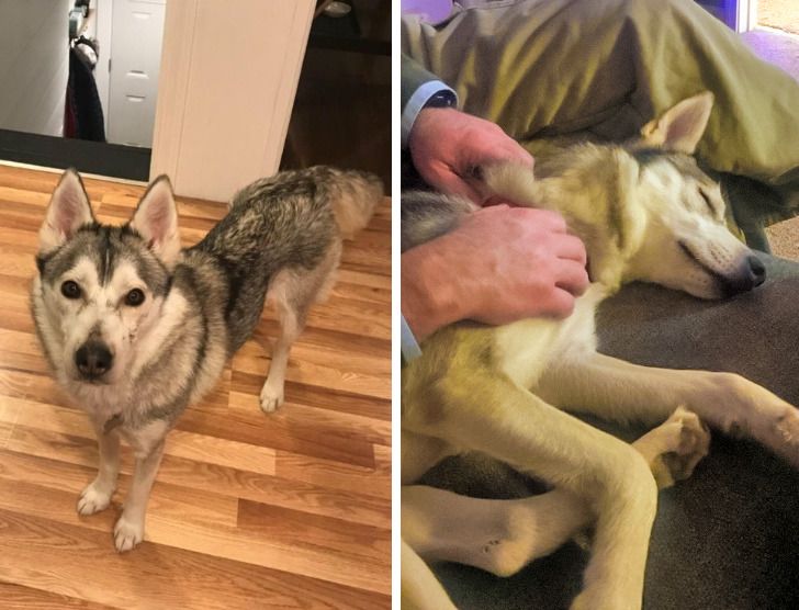 fced3356d588583d551e53d611 fced3356d588583d551e53d611