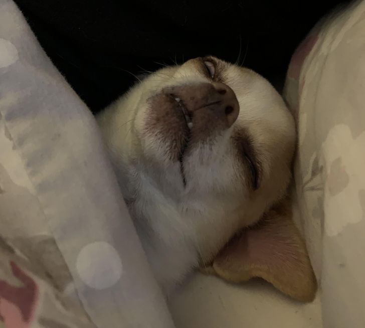 fcf4de5426b3d85bf90786e9ba