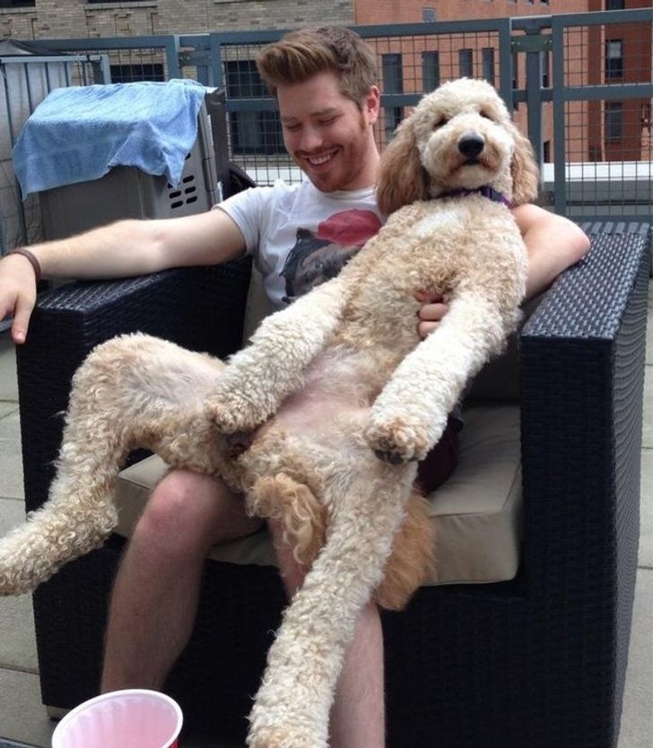 fcf68253cfad0f29a669d34832 fcf68253cfad0f29a669d34832