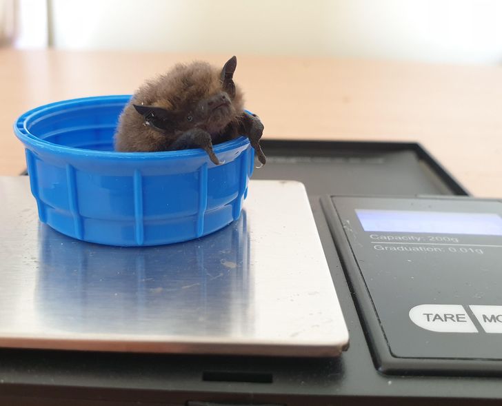 fcf8645682b3d117eab80540e5