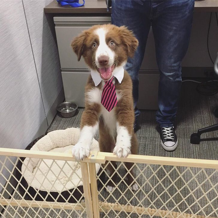 fcfe3256ae84ca5a269faabde1