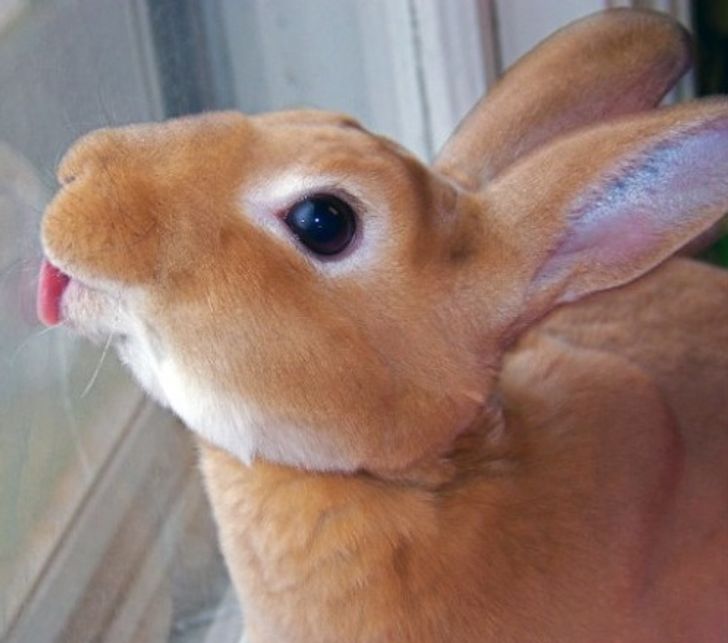 fd07865bf08f3d6debff47a130