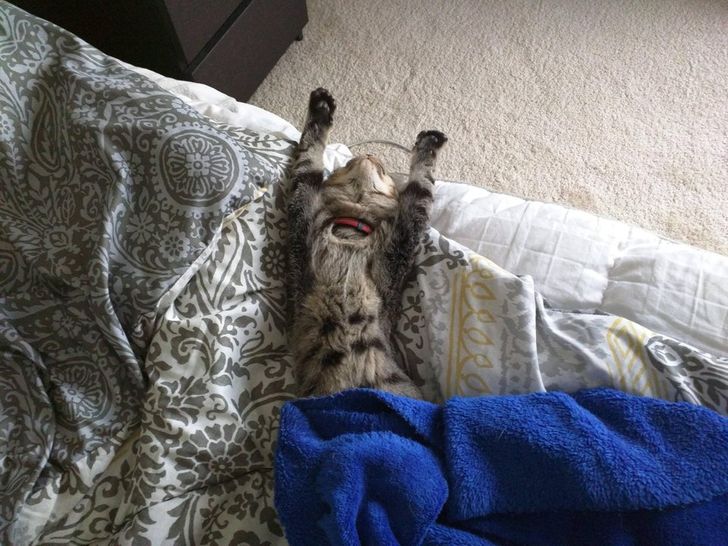 fd0cf75e5eba5506b0ebdf69db