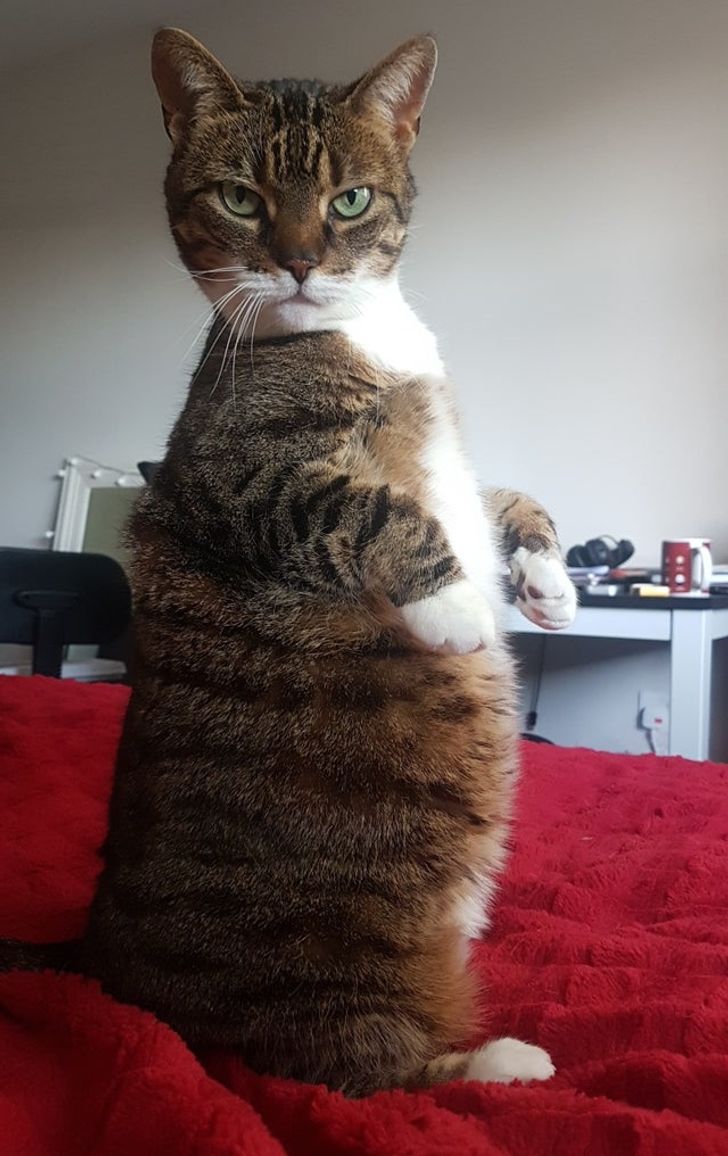 fd146756428b8b81371fe8b8c6