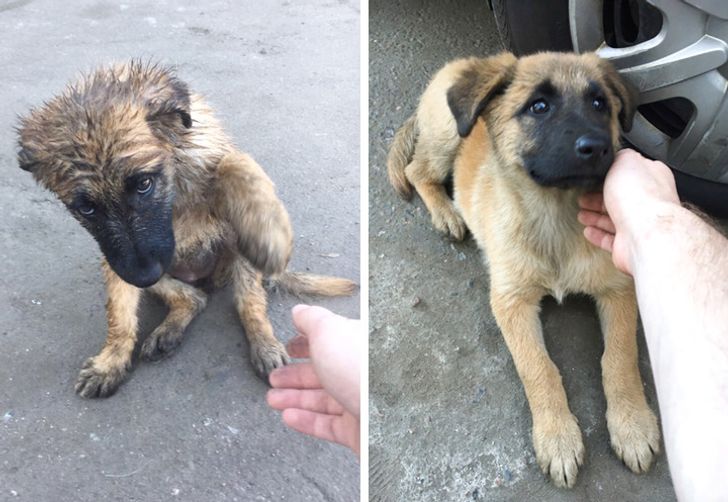 fd18d950708d6b3fe0b0a8ea9f