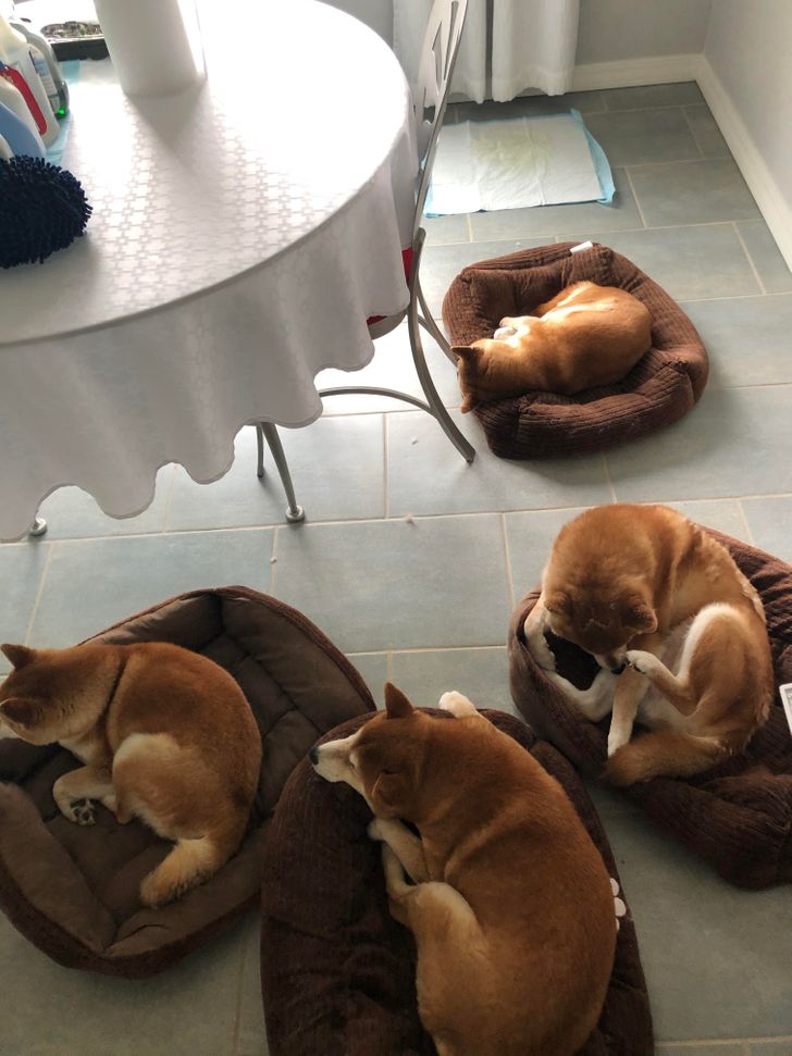 fd195f565298814a8c0ad8c7df