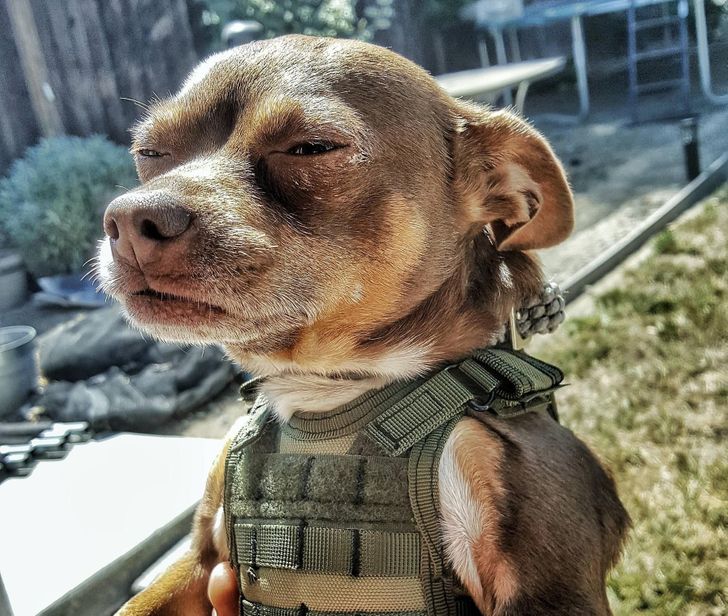 fd1ec95b78a9c9bc45b10b3ef4