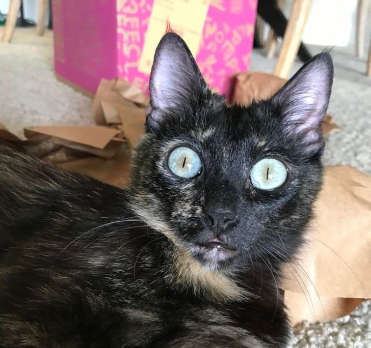 fd21995fd1a4ab5a4937ecbc73