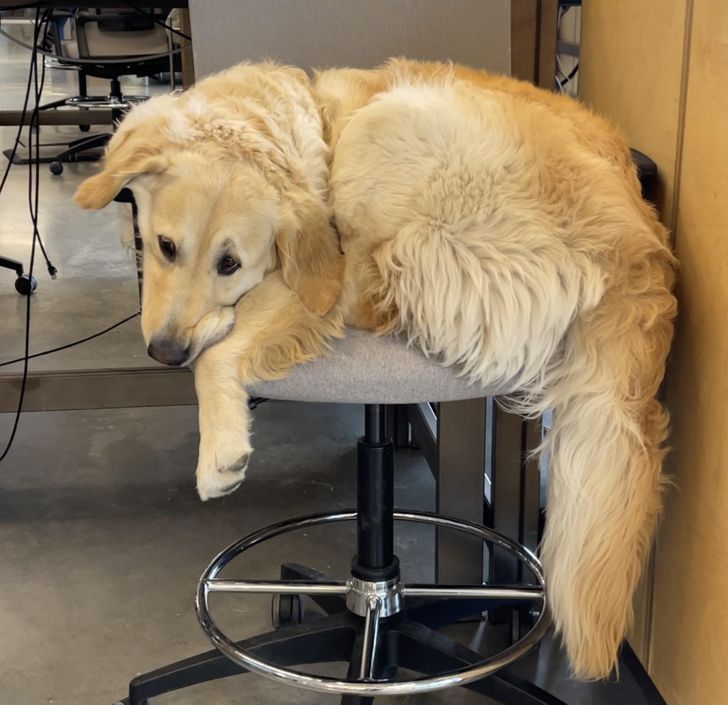 fd22685796a85da804b0ae66d2