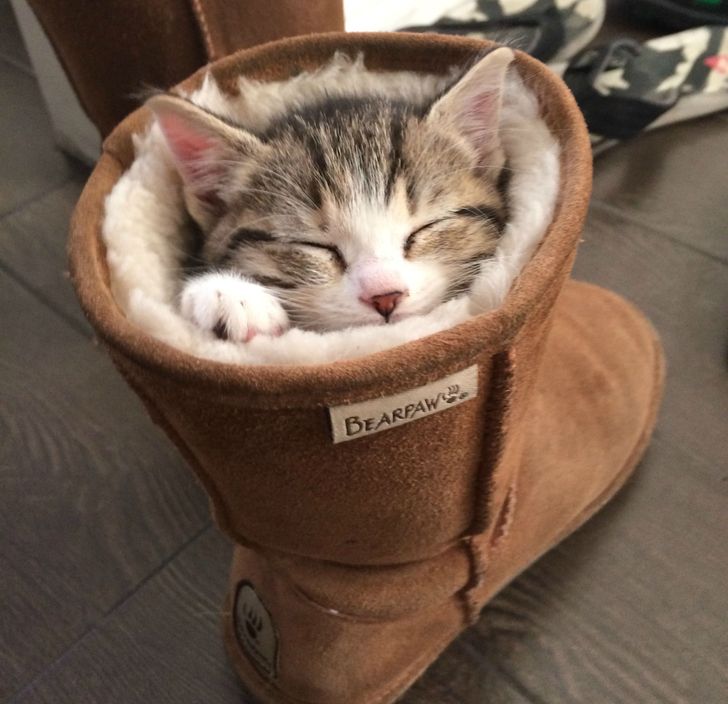 fd2a795bc08fe073673f609883