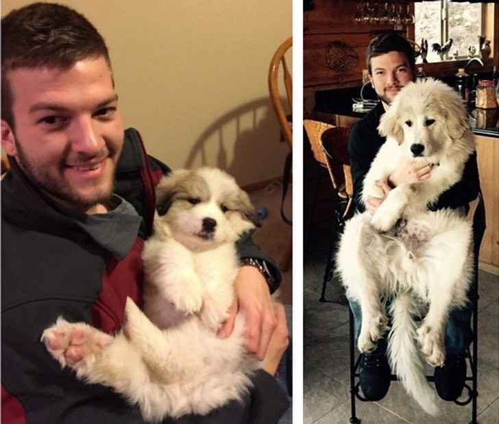 fd32cc56e3a47ae35972da71f1