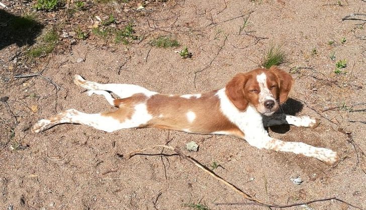 fd389a5021bb3f74057393b2e6 fd389a5021bb3f74057393b2e6