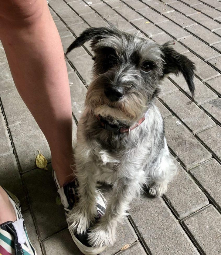 fd40fd55d4959a77715945bde7