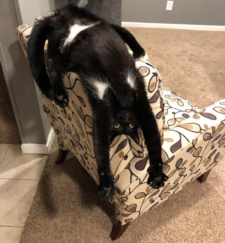 fd425a57d28a0251314e4f17ac