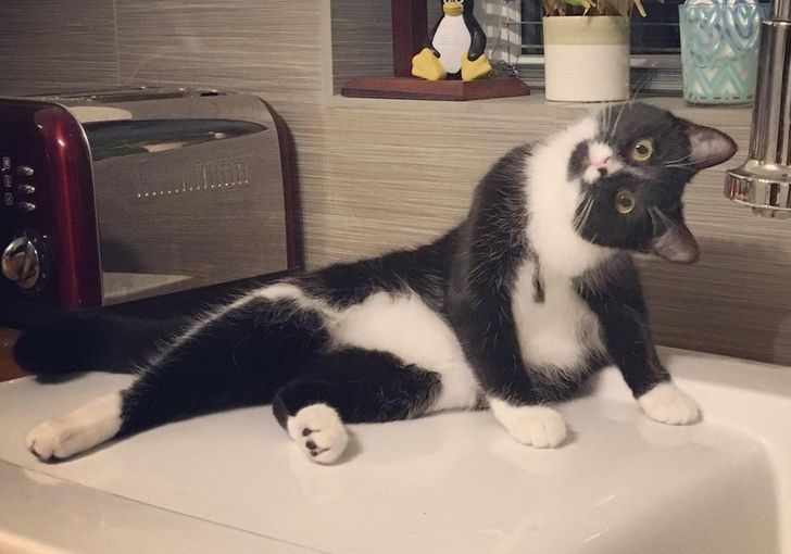 fd443b5835b7ce0034c6ad59c8 fd443b5835b7ce0034c6ad59c8