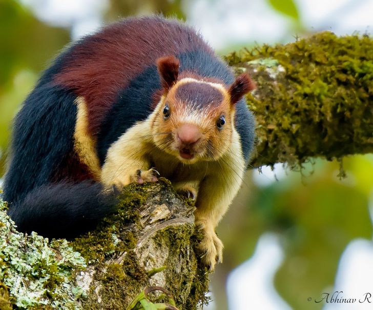 fd4a0056f0a3bb6069d2cd2ea8