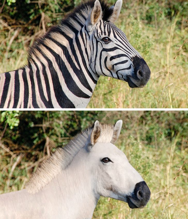 fd4ee05718902c05ec0b995c08