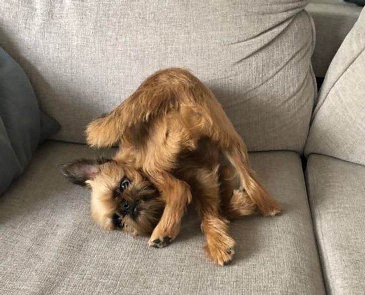 fd4f895897bde4d3859f007f27