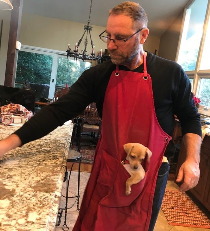 fd51155cfc8b53616e20bb5cb7