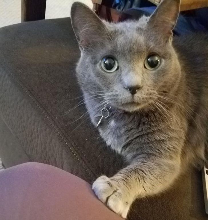 fd52b752be9a58015e1b55d663