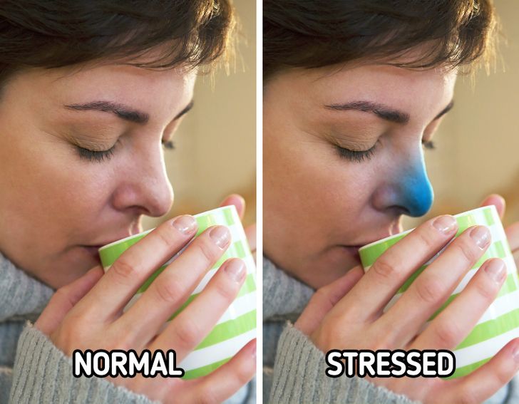 fd59e857a7a84085990c9194a0