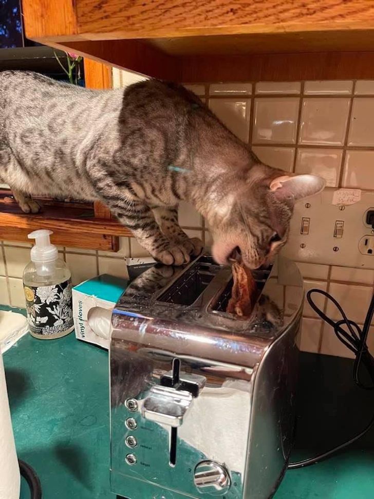 fd616157e190f29ab0399c6ecf