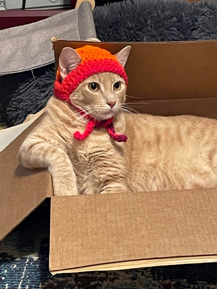 fd74105234ab93420bf99a2af4 fd74105234ab93420bf99a2af4