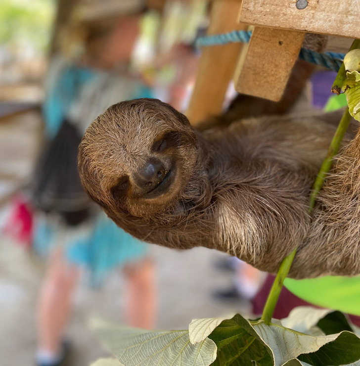 fd7d0e583e8ea4a743bee35f78