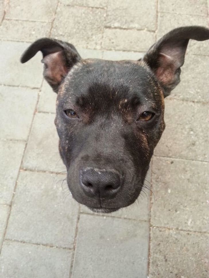 fd7f85542fafab6c7809585d51