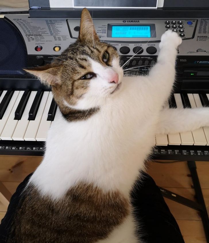 fd82f05790a5ed4ecd28c50185