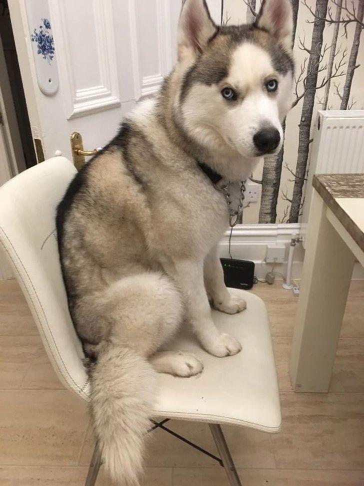 fd8aa950428897483d896145c0