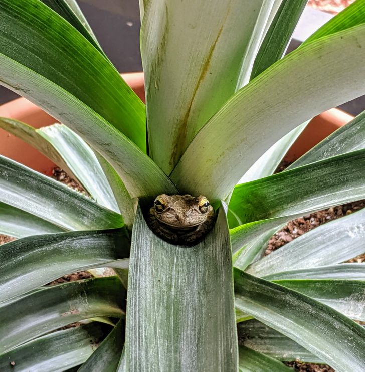 fd8b0352098d491614e6ed5f02