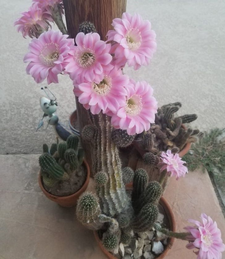 fd8b9652e6b4c02e4297d1e7ee fd8b9652e6b4c02e4297d1e7ee