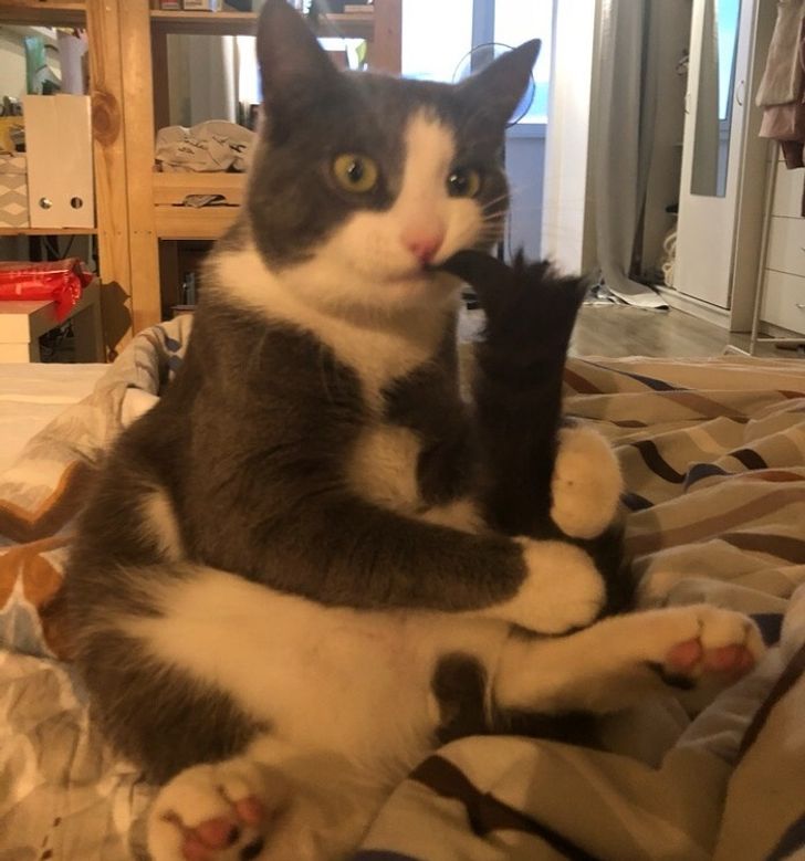 fd8ff15fcdaa3a2890f6b70dee