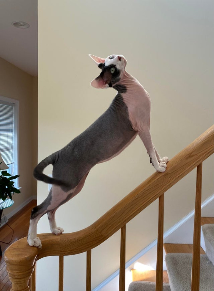 fd9aac5907876fd4aea4ec79c2 fd9aac5907876fd4aea4ec79c2