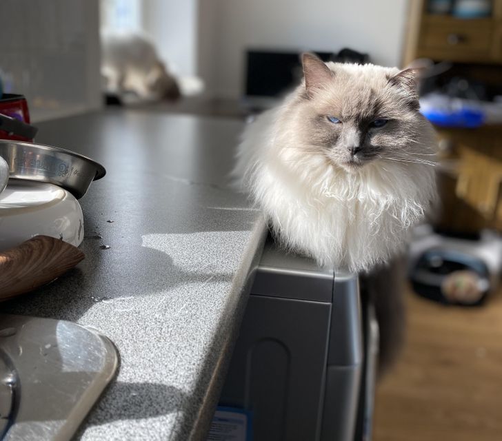 fdbc81560a9952ee4fcf6501d4