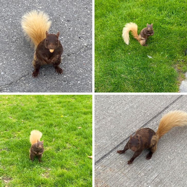 fdc444587fa2f76ac12ac7bd62